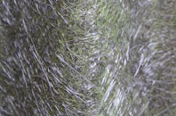 Settrington fibreglass roof work